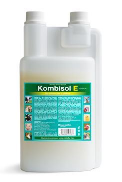 Kombisol E 1000ml