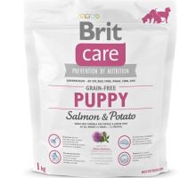 Brit Care Dog Grain-free Puppy Salmon & Potato 2 balení 12kg
