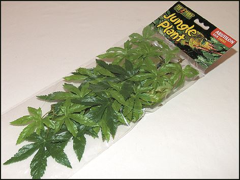 Rostlina EXO TERRA Abuliton malá 40 cm 1ks
