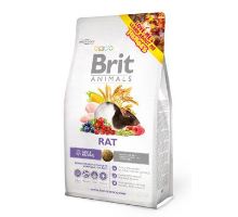 Brit Animals Rat (1)
