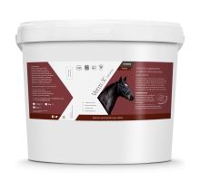 Verm-X Přírodní pelety proti střevním parazitům pro koně 8kg