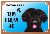 Barevná cedulka Pozor pes Briard černý