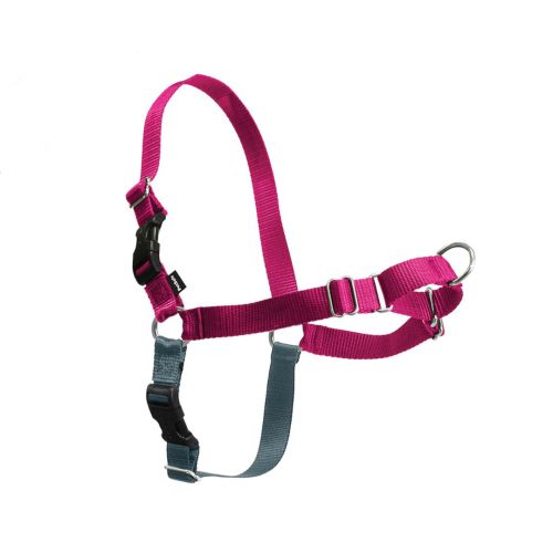 Postroj EasyWalk , malinová
