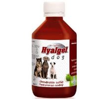 Hyalgel Dog Original jablko 500ml