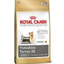 Royal Canin BREED Yorkshire