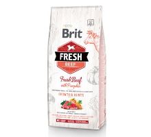 Brit Fresh Dog Beef &amp; Pumpkin Puppy Large 2,5kg