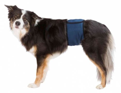 Břišní pás na podložky pro psa samce tmavě modrý