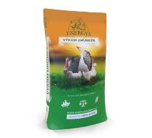 Krmivo pro kuřata BROILER MINI FORTE drcené 25kg