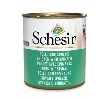 Schesir Dog konz. Adult kuře/špenát 285g