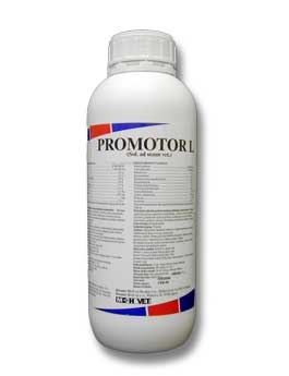 Promotor L sus