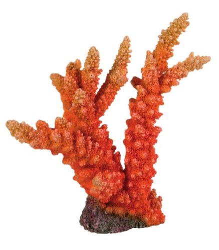 Špičatý korál 18 cm TRIXIE