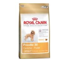 Royal Canin BREED Pudl 500g