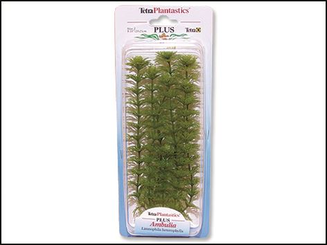 Rostlina Ambulia Plus 23 cm 1ks