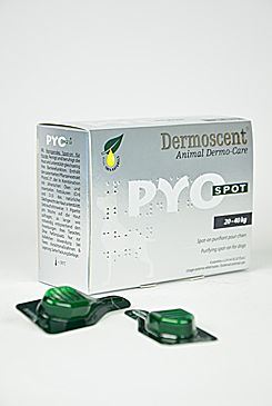 Dermoscent PYO spot for dogs 20-40kg 2,4x4ml