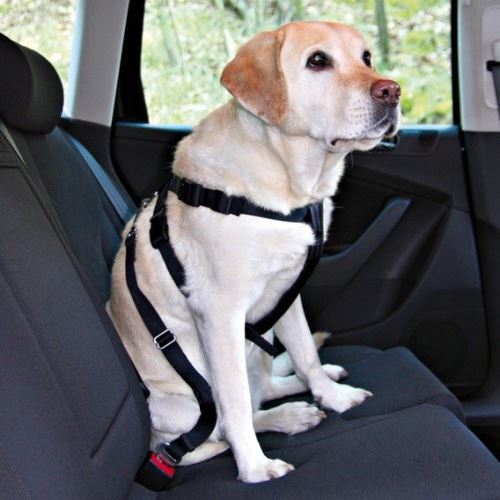 Postroj pes Bezpečnostní do auta M 50-70cm VÝPRODEJ