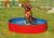 Karlie-Flamingo Skládací bazén pro psy červeno-modrý 160x30cm