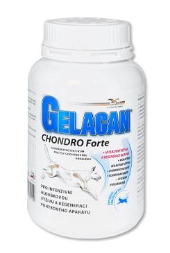 Gelacan Chondro Forte 150g