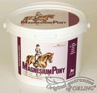 Magnesiumpony plv