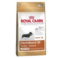 Royal canin Breed Jezevčík Junior 1,5kg