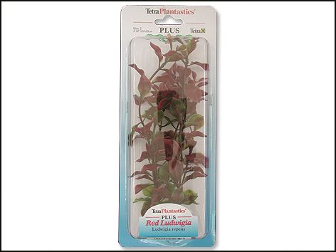 Rostlina Red Ludwigia 23 cm 1ks