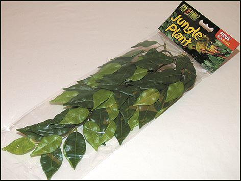 Rostlina EXO TERRA Ficus malá 45 cm 1ks