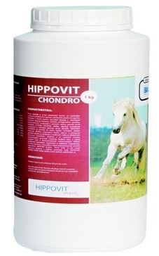 Hippovit Chondro