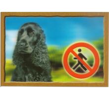 Cedulka 3D Pozor pes Anglický kokršpaněl černý