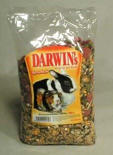 Darwin morče,králík standard 1kg