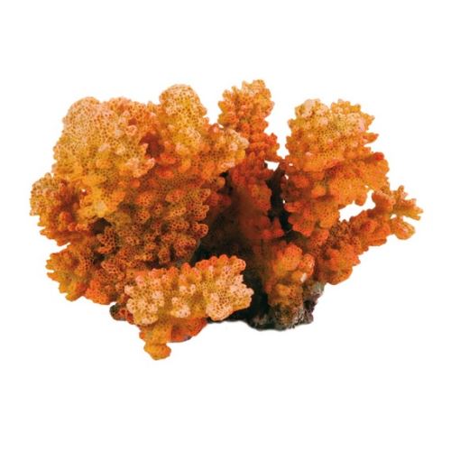 Oranžový korál 12 cm TRIXIE
