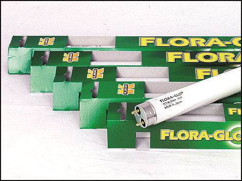 Zářivka Flora Glo T8 - 105 cm 40W