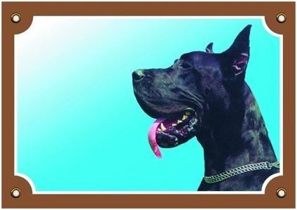 Barevná cedulka Pozor pes Doga černá