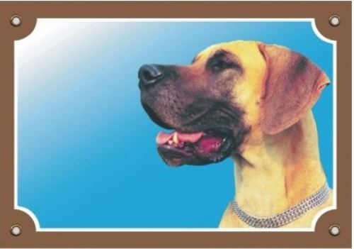 Barevná cedulka Pozor pes Doga žlutá