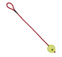 Vrhací tenisový míč s tlapkou na šňůře 6 cm/50 cm
