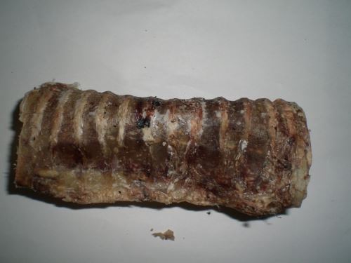 Hovězí průdušnice - trachea 1 ks