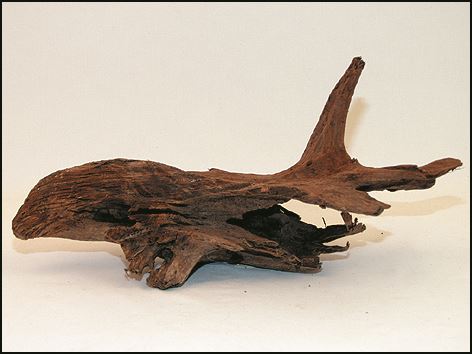 Kořen Driftwood 20 - 45 cm 1ks