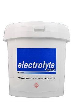 Electrolyte horse 3000g
