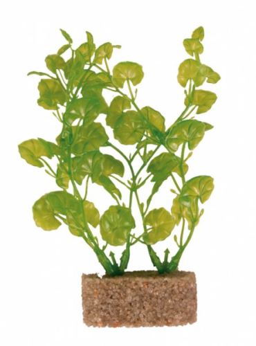 Plastové rostliny s podkladovým pískem 20 cm