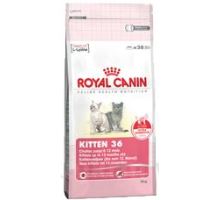 Royal canin Feline Kitten 10kg