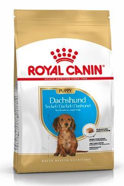 Royal canin Breed Jezevčík Junior 1,5kg