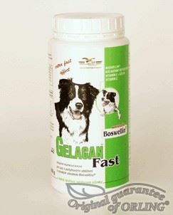 Gelacan Fast