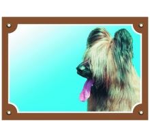 Barevná cedulka Pozor pes Briard světlý