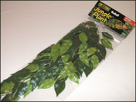 Rostlina EXO TERRA Ficus střední 55 cm 1ks