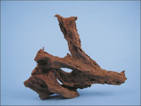 Kořen Driftwood 12 - 25 cm 1ks