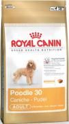 Royal Canin BREED Pudl 7,5kg
