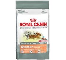 Royal canin Mini Starter M&amp;B 1kg