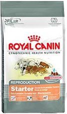 Royal canin Mini Starter M&B 1kg