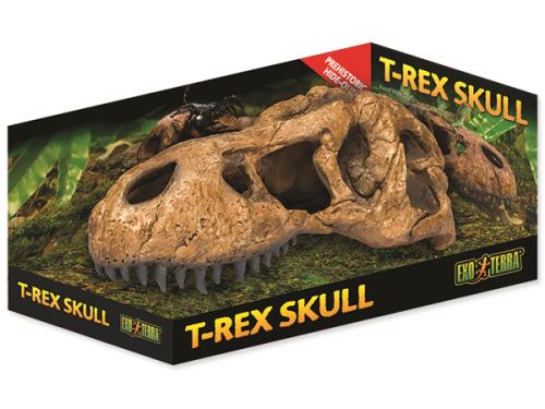 Dekorace EXO TERRA T-Rex lebka 1ks