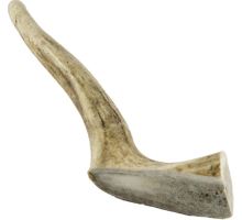 Dančí paroh mini 50-70g