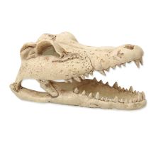 Dekorace REPTI PLANET Krokodýlí lebka 13,8 cm 1ks