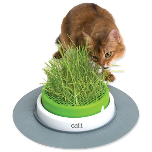 Trávník CAT IT Design Senses 2.0 1ks
